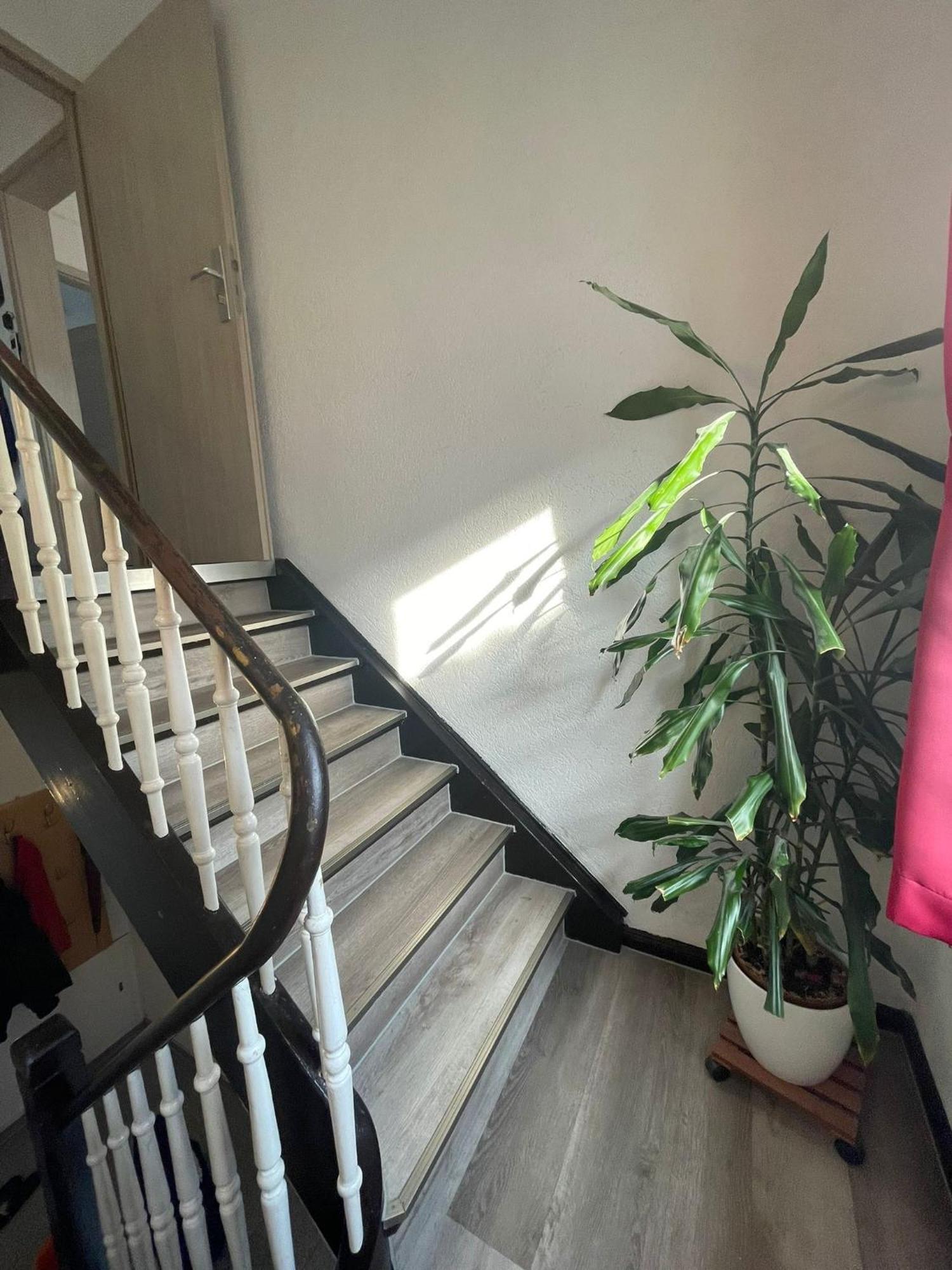 Leo Apartment Zentrum Rüsselsheim Extérieur photo